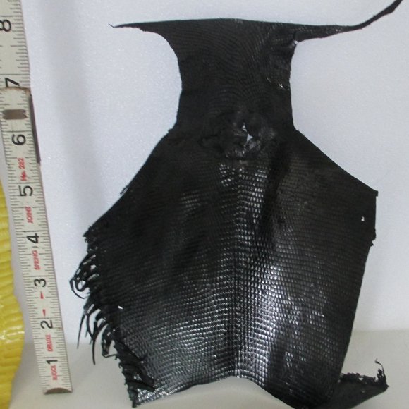 BUNDLE OF EXOTIC LIZARD SKINS AND SNAKESKIN - Picture 4 of 16